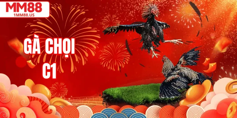 Gà Chọi C1 Là Gì? Hướng Dẫn Cách Chơi Và Trường Gà Lớn Tại MM88