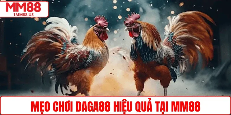 Mẹo chơi Daga88 hiệu quả tại MM88